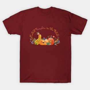 Cute and colorful pumpkins in the patch T-Shirt